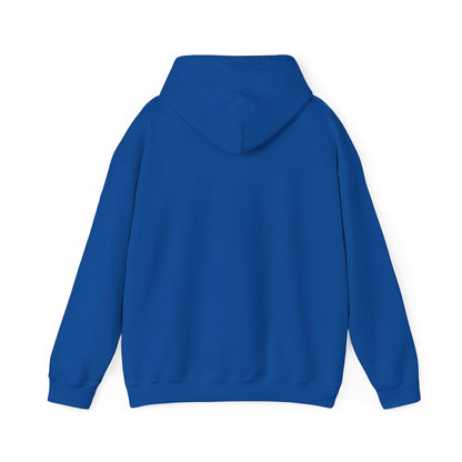 Fletcher Park Inn Hoodie